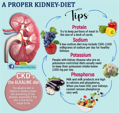 Image result for CKD Diet