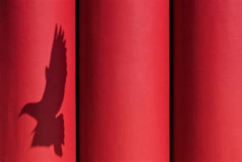 Toradh íomhá ar Difference Between Shadow and Reflection