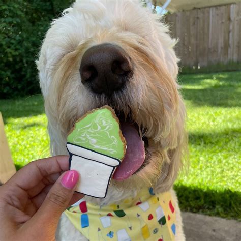 Image result for Pups Cakes