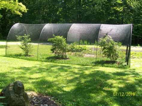 Toradh íomhá ar Single Tree Frame Net