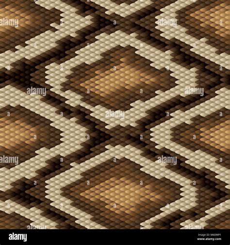 Image result for Python Pattern Vector