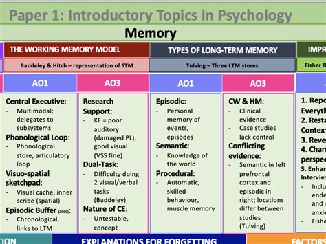 Image result for Short-Term Memory Concept Map