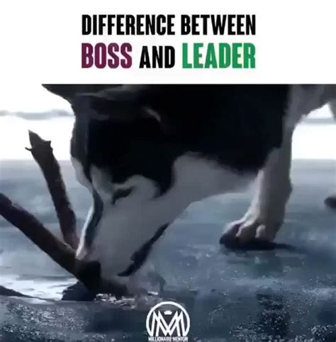 Afbeeldingsresultaten voor Difference Between Boss and Programmers