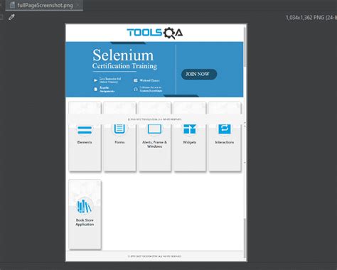 Image result for C# Selenium Full Screen
