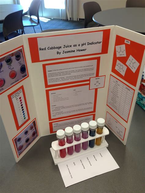 Image result for Science Fair Steps Example