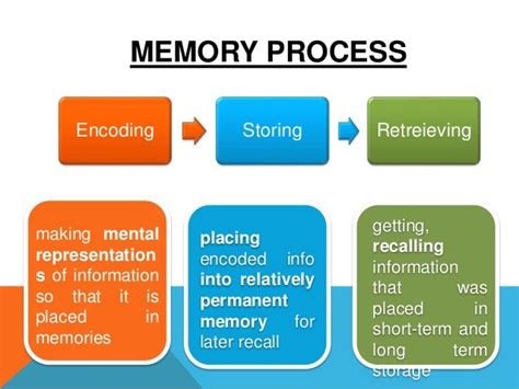 Image result for The Memory Process