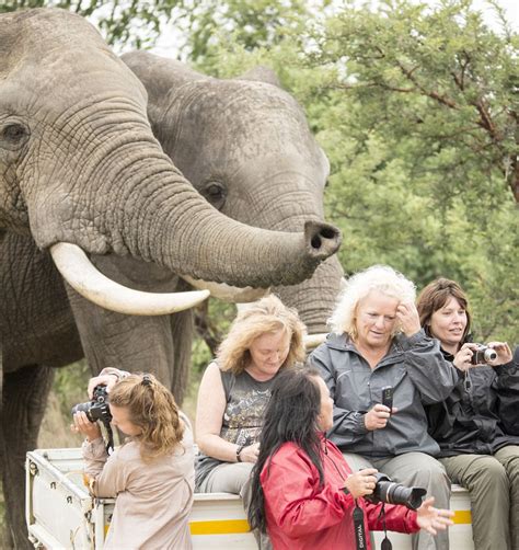 Extrovert People に対する画像結果