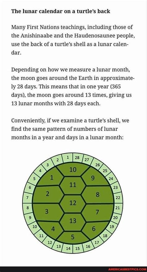 Toradh íomhá ar Turtle Shell Calendar