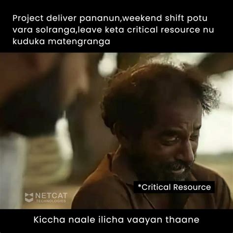 Netcat Hacking Meme に対する画像結果