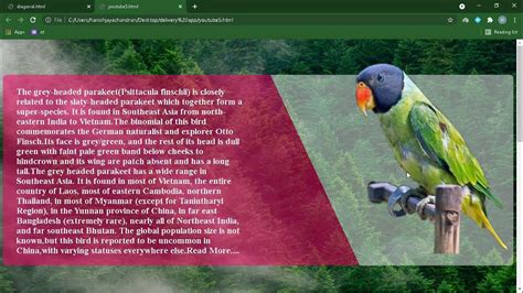 Image result for CSS Slanted Div