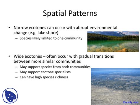 Image result for Spatial Pattern in Geography