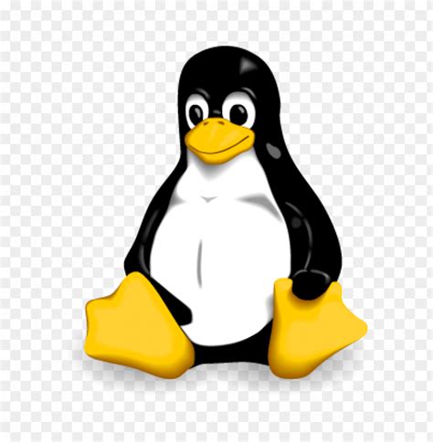 Image result for Linux Penguin Windows Logo