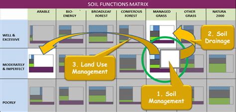 Image result for Soil Functions