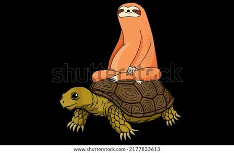 Image result for Sloth Turtle Back Zoo