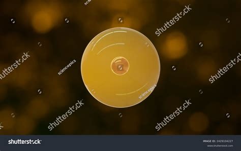 Toradh íomhá ar Mother Cell