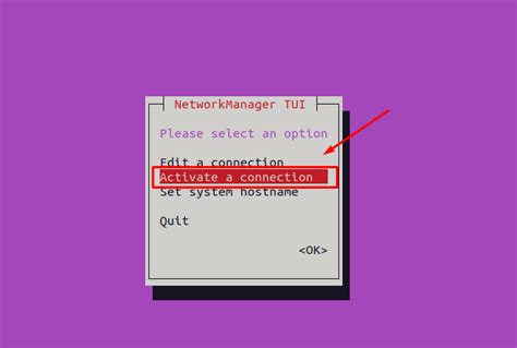 Image result for Linux Ubuntu Server Network Connections