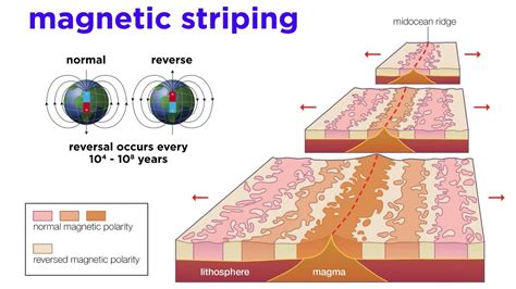 Bildergebnis für Magnetic Pole Reversal