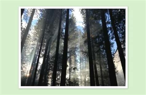 Image result for Sample Slides CSS