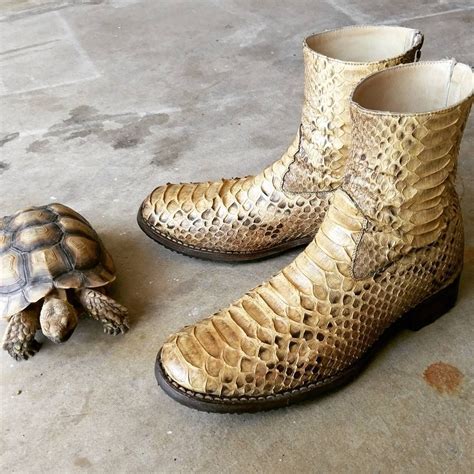 Image result for Albino Python Boots