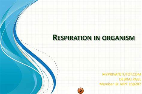 Image result for Types of Respiration Class 7