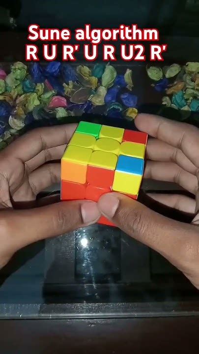 Sune Algorithm Finger Notations に対する画像結果