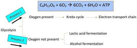 Image result for Structure Formed by Two Processes