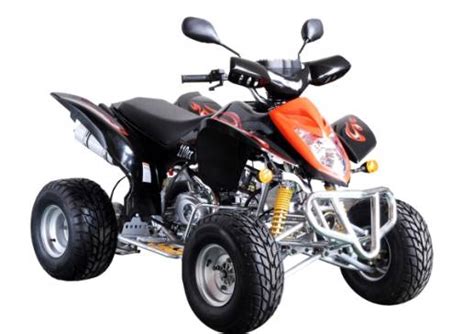 Image result for Course Quad Sur Route