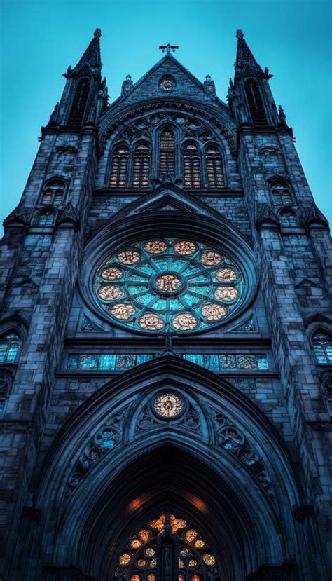 Image result for Notre Dame Gothic Architecture