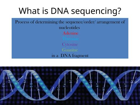 DNA Sequencing Sanger Method に対する画像結果