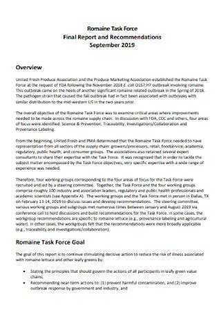 Image result for Task Report Sample