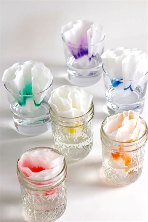 Afbeeldingsresultaten voor Coffee Filter Dye Experiment