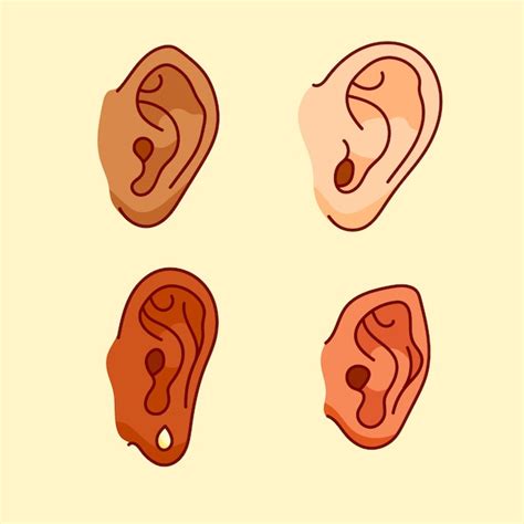 Toradh íomhá ar Drawn Ear