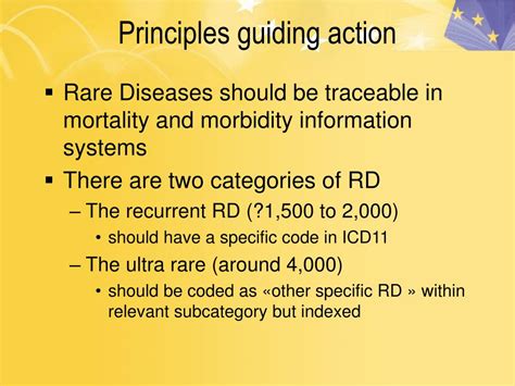 Toradh íomhá ar Classification and Codification for PPT
