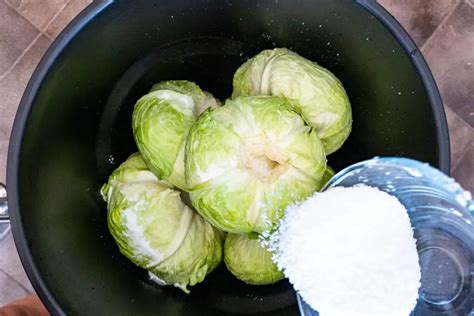 תוצאת תמונה עבור Salt Cabbage