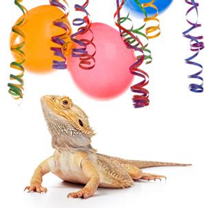 Afbeeldingsresultaten voor Reptile Invitations