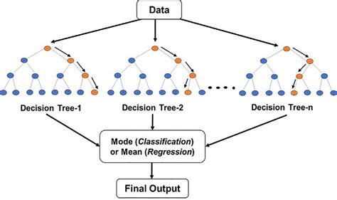 Image result for Random Forest Algorithm Output