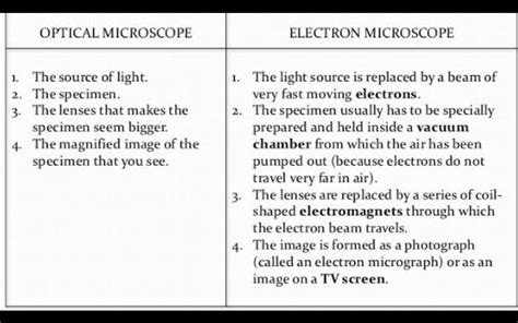 Image result for Light Microscope vs Electron Micrographs
