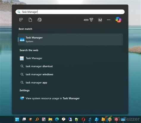 Image result for Find Windows Process Icon