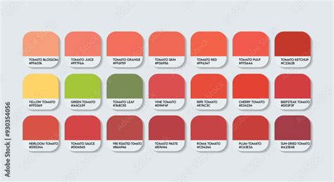 Toradh íomhá ar Tomato Color Code Chart