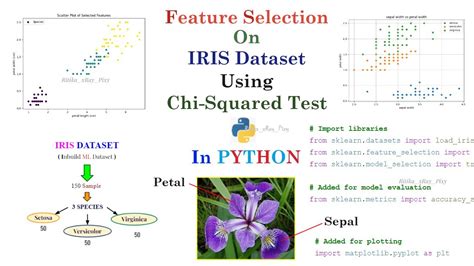 Image result for Chi-Squared Feature Selection