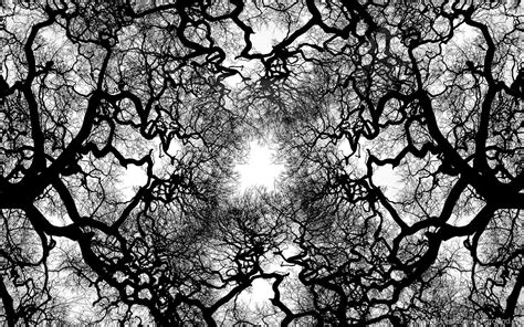 Image result for Abstract Tree Background