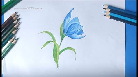 Toradh íomhá ar Color Pencil Drawing for Beginners