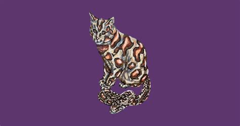 Image result for Draw Cat in Python