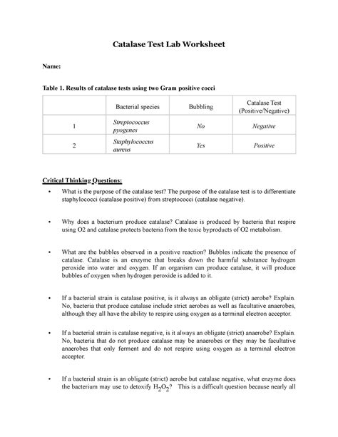 Image result for Catalase Test Lab Report