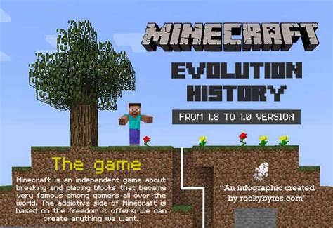 Image result for How Old Is Minecraft