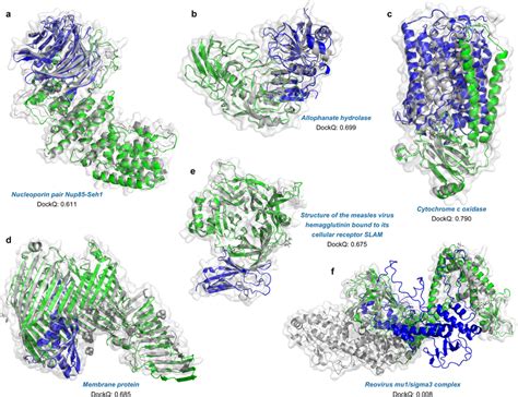 Image result for Complex Protein Examples