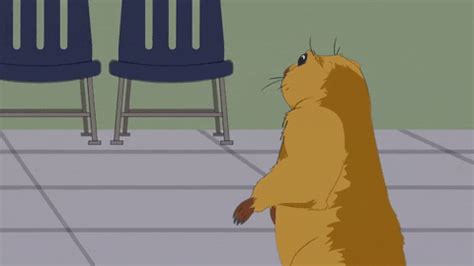 Image result for Prairie Dog Loading Meme