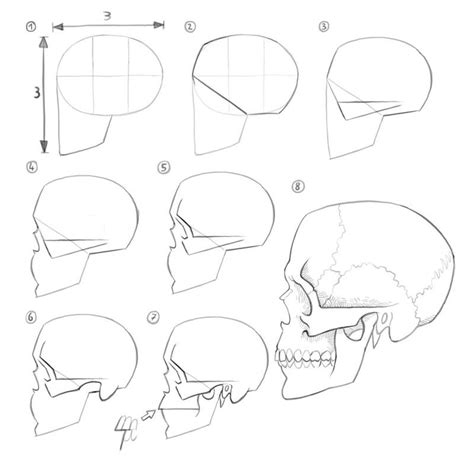 Afbeeldingsresultaten voor Alien Skull Drawing Reference