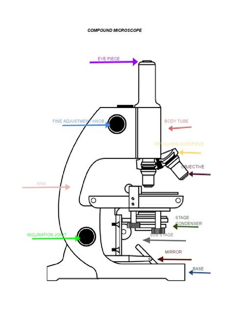 Image result for Compound Microscope Construction
