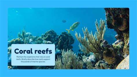 Image result for Introduction Slides of Presentation